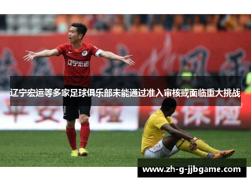 辽宁宏运等多家足球俱乐部未能通过准入审核或面临重大挑战